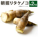 【ふるさと納税】朝掘りタケノコ 約2kg 3～5本 筍 たけのこ タケノコ 朝掘り 一番掘り 春の味 ...