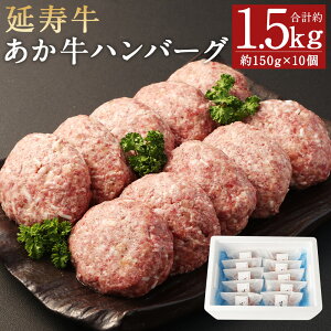 【ふるさと納税】熊本県産 延寿牛 あか牛 ハンバーグ 約150g×10個 合計約1.5kg 小分け 個包装 お肉 和牛 ハンバーグ 焼くだけ 熊本県産 九州産 国産 冷凍 送料無料