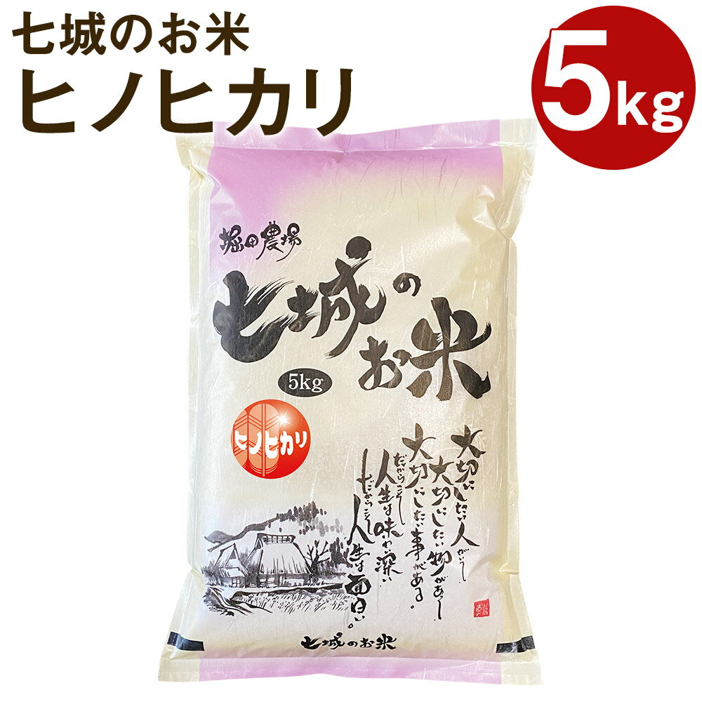 【ふるさと納税】七城のお米 ヒノヒカリ 5kg 白米 精米 