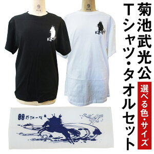 【ふるさと納税】菊池武光公 Tシャツ・タオルセット 選べる2色 選べる4サイズ S/M/L/XL シャツ 半袖 ファッション タオル 菊池一族 送料無料《90日以内に出荷予定(土日祝除く)》