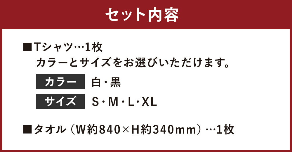 【ふるさと納税】菊池武光公 Tシャツ・タオルセット 選べる2色 選べる4サイズ S/M/L/XL シャツ 半袖 ファッション タオル 菊池一族 送料無料