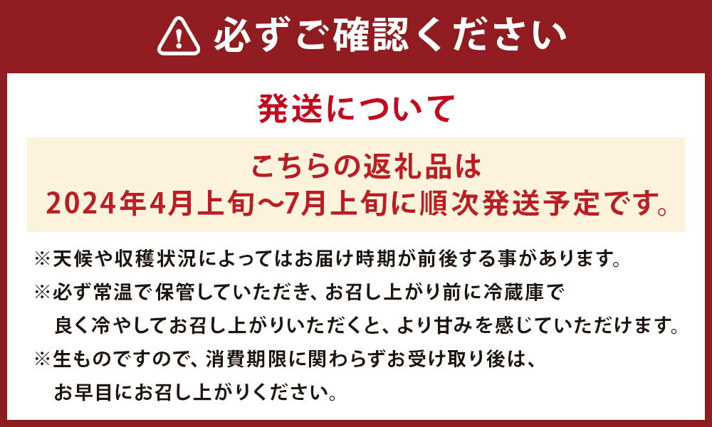 【ふるさと納税】キンショーメロン 2kg 3～6玉 メロン 果物 フルーツ 金鐘 ノーネットメロン 黄色いメロン 菊池市産 熊本県産 九州産 送料無料【2024年4月上旬～7月上旬に順次発送予定】