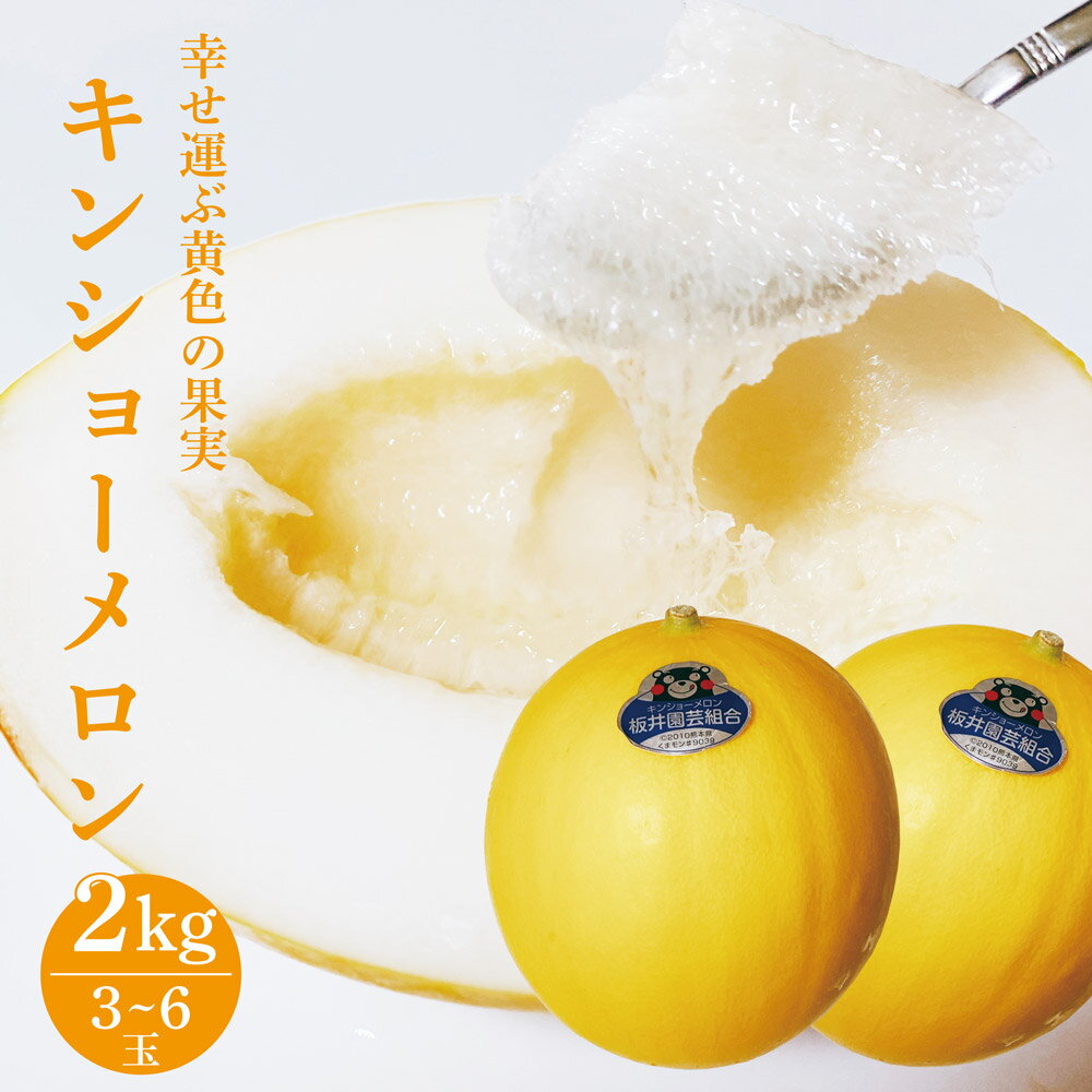 【ふるさと納税】キンショーメロン 2kg 3～6玉 メロン 果物 フルーツ 金鐘 ノーネットメロン 黄色いメロン 菊池市産 熊本県産 九州産 送料無料【2024年4月上旬～7月上旬に順次発送予定】