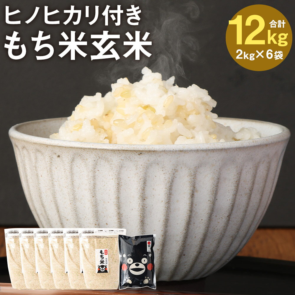 【ふるさと納税】もち米玄米 2kg×6袋 合計12kg ヒノヒカリ 白米300g お米 もち米 玄米 ヒヨクモチ 令和5年産 九州産 熊本県産 菊池市産 送料無料のサムネイル