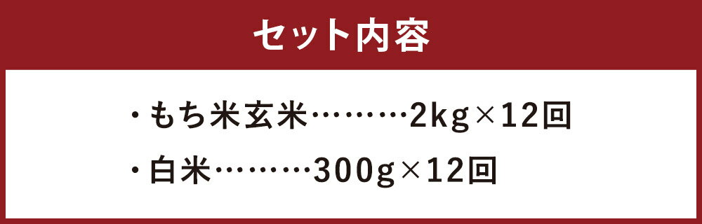 【ふるさと納税】【12ヶ月定期便】もち米玄米 2kg×12回 合計24kg ヒノヒカリ 白米300g×12回 12回お届け お米 もち米 玄米 ヒヨクモチ 九州産 熊本県産 菊池市産 送料無料