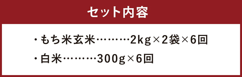 【ふるさと納税】【6ヶ月定期便】もち米玄米 2kg×2袋×6回 合計24kg ヒノヒカリ 白米300g×6回 6回お届け お米 もち米 玄米 ヒヨクモチ 九州産 熊本県産 菊池市産 送料無料