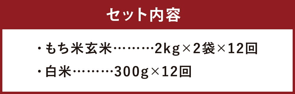 【ふるさと納税】【12ヶ月定期便】もち米玄米 2kg×2袋×12回 合計48kg ヒノヒカリ 白米300g×12回 12回お届け お米 もち米 玄米 ヒヨクモチ 九州産 熊本県産 菊池市産 送料無料