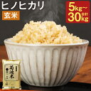 【ふるさと納税】熊本県菊池産 ヒノヒカリ 玄米 5kg/10kg/20kg/30kg 選べる内容量 1袋5kg 米 お米 令和6年産 九州産 熊本県産 送料無料...