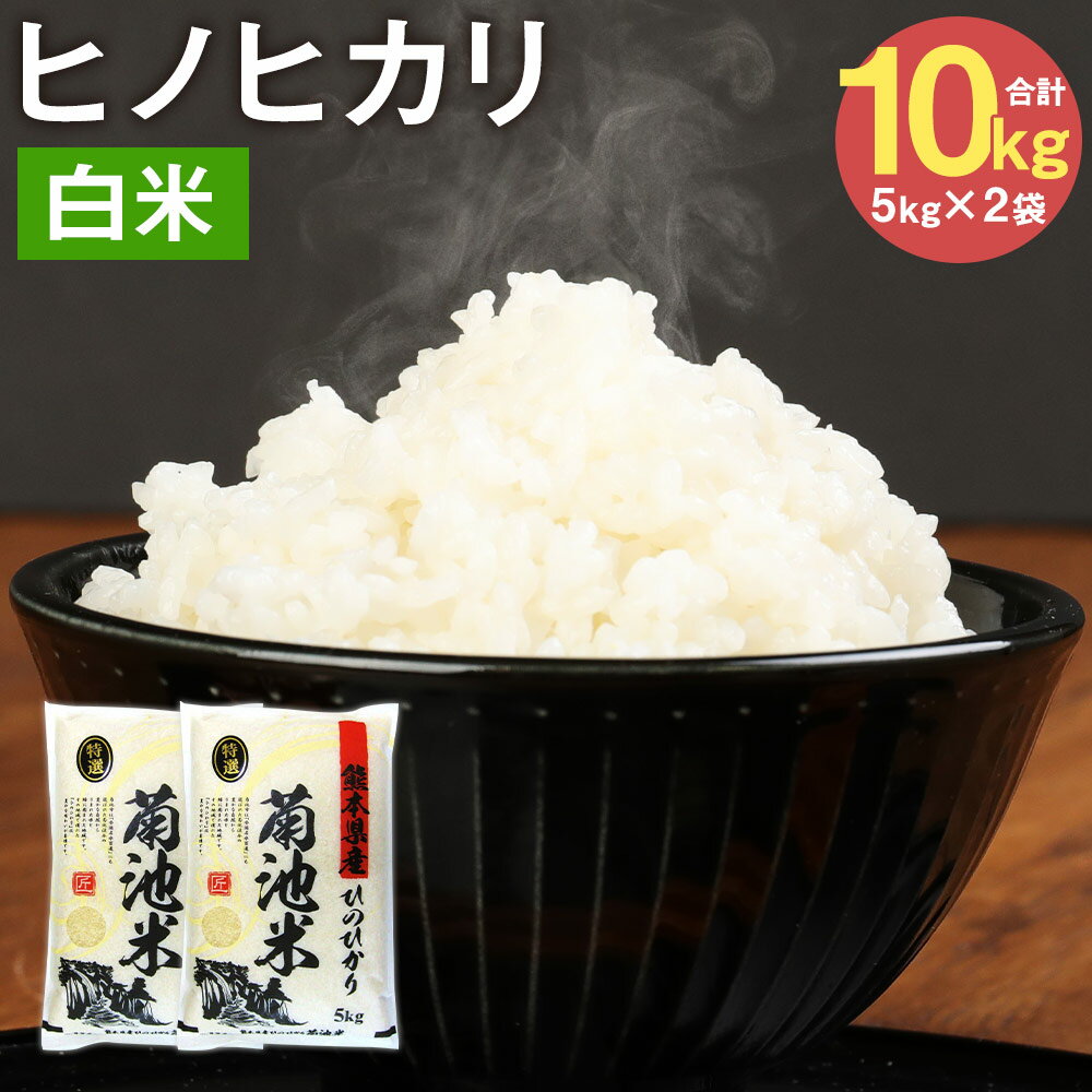 熊本県菊池産 ヒノヒカリ 5kg×2袋 合計10kg 精米 お米 白米 令和5年産 九州産 熊本県産 送料無料