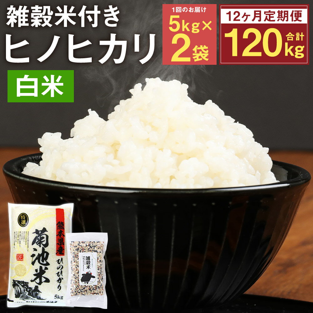 5位! 口コミ数「0件」評価「0」【12ヶ月定期便】熊本県菊池産 ヒノヒカリ 精米 5kg×2袋×12回 合計120kg 12回お届け もち麦入り雑穀米200g×2袋×12回･･･ 