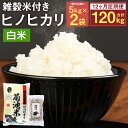 13位! 口コミ数「0件」評価「0」【12ヶ月定期便】熊本県菊池産 ヒノヒカリ 精米 5kg×2袋×12回 合計120kg 12回お届け もち麦入り雑穀米200g×2袋×12回･･･ 