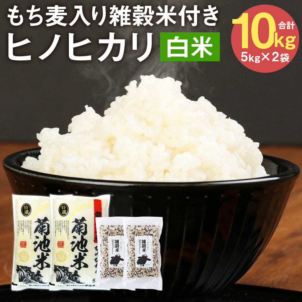 熊本県菊池産 ヒノヒカリ 5kg×2袋 合計10kg 精米 もち麦入り雑穀米200g×2袋 合計400g お米 白米 令和5年産 九州産 熊本県産 送料無料