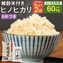 【ふるさと納税】【6ヶ月定期便】熊本県菊池産 ヒノヒカリ 5分づき米 5kg×2袋×6回 合計60kg 6回お届け もち麦入り雑穀米200g×2袋×6回 お米 分づき米 九州産 熊本県産 送料無料