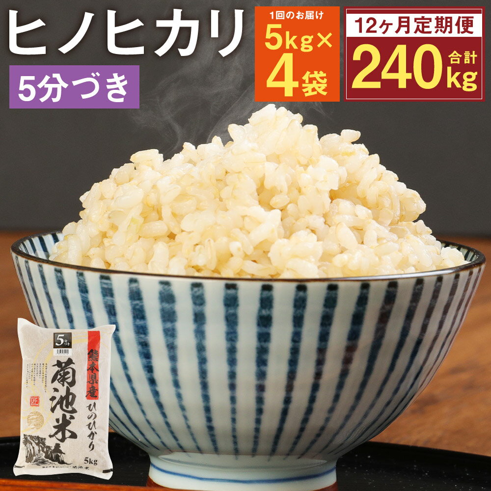 55位! 口コミ数「0件」評価「0」【12ヶ月定期便】熊本県菊池産 ヒノヒカリ 5kg×4袋×12回 合計240kg 12回お届け 5分づき米 お米 分づき米 九州産 熊本県産･･･ 