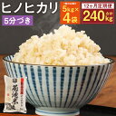 熊本県菊池産 ヒノヒカリ 5kg×4袋×12回 合計240kg 12回お届け 5分づき米 お米 分づき米 九州産 熊本県産 送料無料