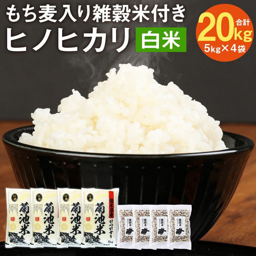 【ふるさと納税】熊本県菊池産 ヒノヒカリ 5kg×4袋 合計20kg 精米 もち麦入り雑穀米200g×4袋 合計800g お米 白米 令和3年産 九州産 熊本県産 送料無料