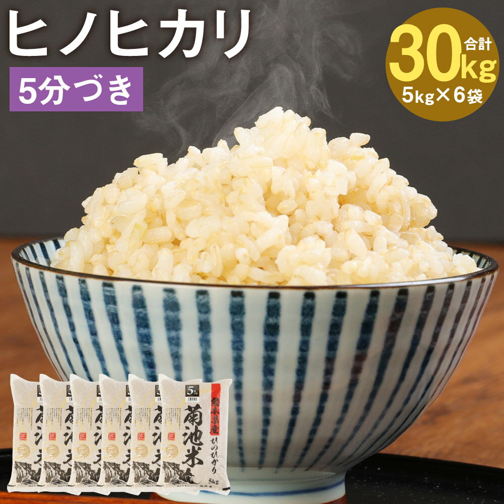 熊本県菊池産 ヒノヒカリ 5kg×6袋 合計30kg 5分づき米 お米 分づき米 令和5年産 九州産 熊本県産 送料無料