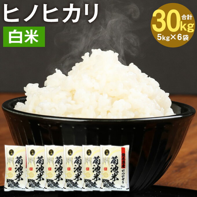 【ふるさと納税】熊本県菊池産 ヒノヒカリ 5kg×6袋 合計30kg 精米 お米 白米 令和4年産 九州産 熊本県産 送料無料