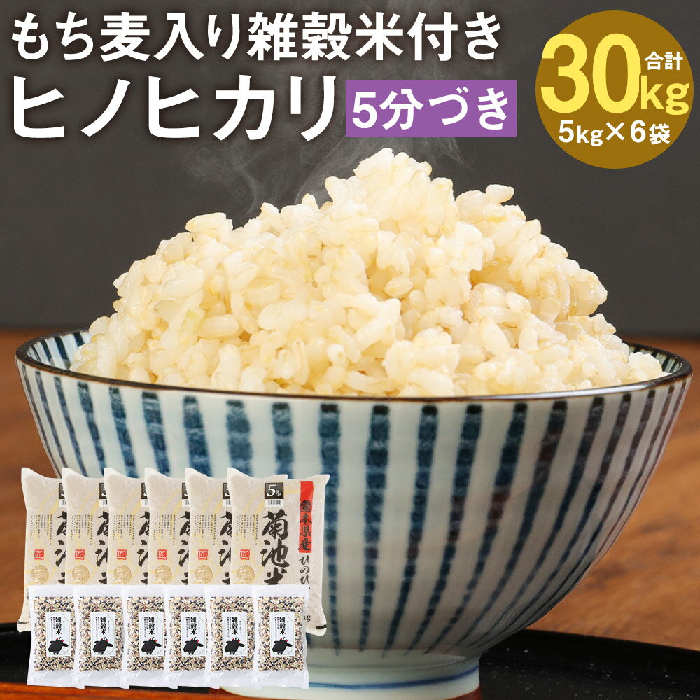 熊本県菊池産 ヒノヒカリ 5kg×6袋 合計30kg 5分づき米 もち麦入り雑穀米200g×6袋 合計1.2kg お米 分づき米 令和5年産 九州産 熊本県産 送料無料