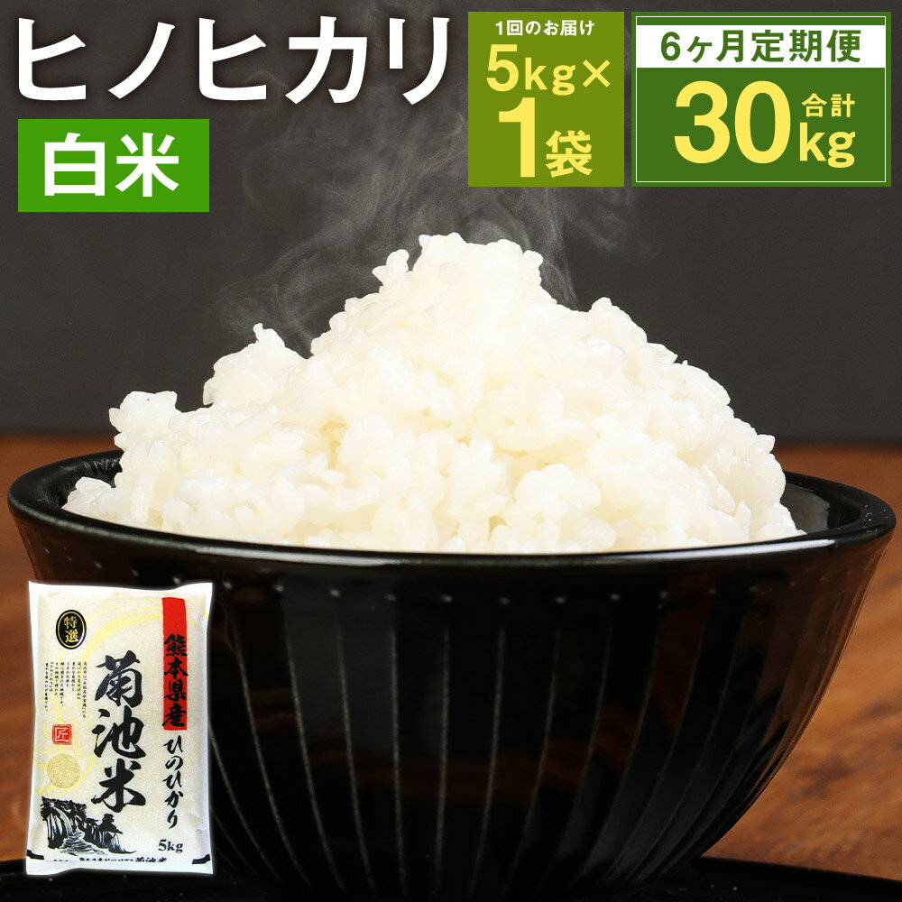 [6ヶ月定期便]熊本県菊池産 ヒノヒカリ 5kg×6回 合計30kg 6回お届け 精米 お米 白米 九州産 熊本県産 送料無料