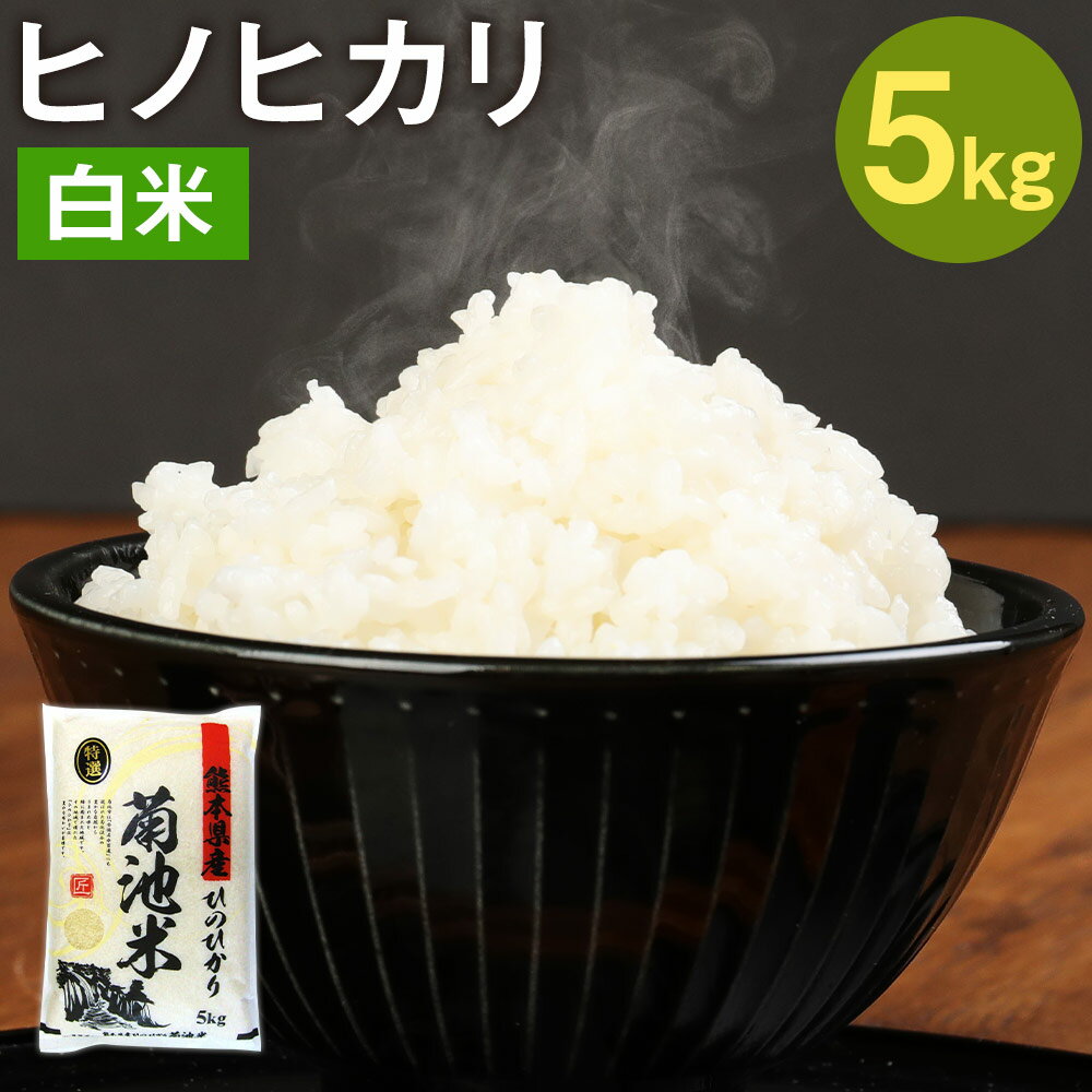 熊本県菊池産 ヒノヒカリ 5kg 精米 お米 白米 令和5年産 九州産 熊本県産 送料無料