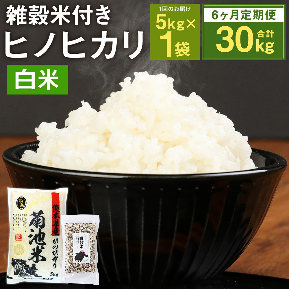 [6ヶ月定期便]熊本県菊池産 ヒノヒカリ 精米 5kg×6回 合計30kg 6回お届け もち麦入り雑穀米200g×6回 精米 お米 白米 九州産 熊本県産 送料無料