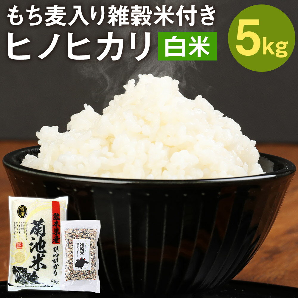 熊本県菊池産 ヒノヒカリ 5kg 精米 もち麦入り雑穀米200g お米 白米 令和5年産 九州産 熊本県産 送料無料