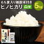 【ふるさと納税】熊本県菊池産 ヒノヒカリ 5kg 精米 もち麦入り雑穀米200g お米 白米 令和5年産 九州産 熊本県産 送料無料