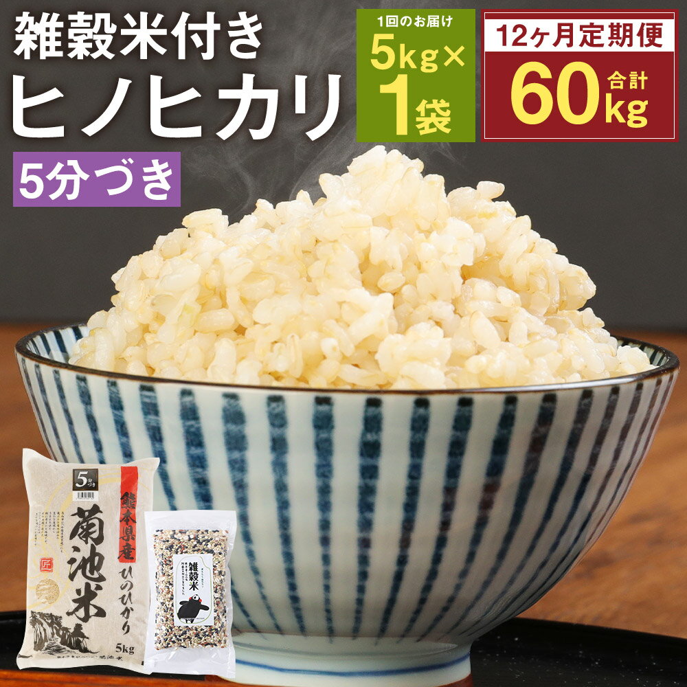 【ふるさと納税】【定期便12ヵ月】熊本県菊池産 ヒノヒカリ 5分づき米 5kg×12...