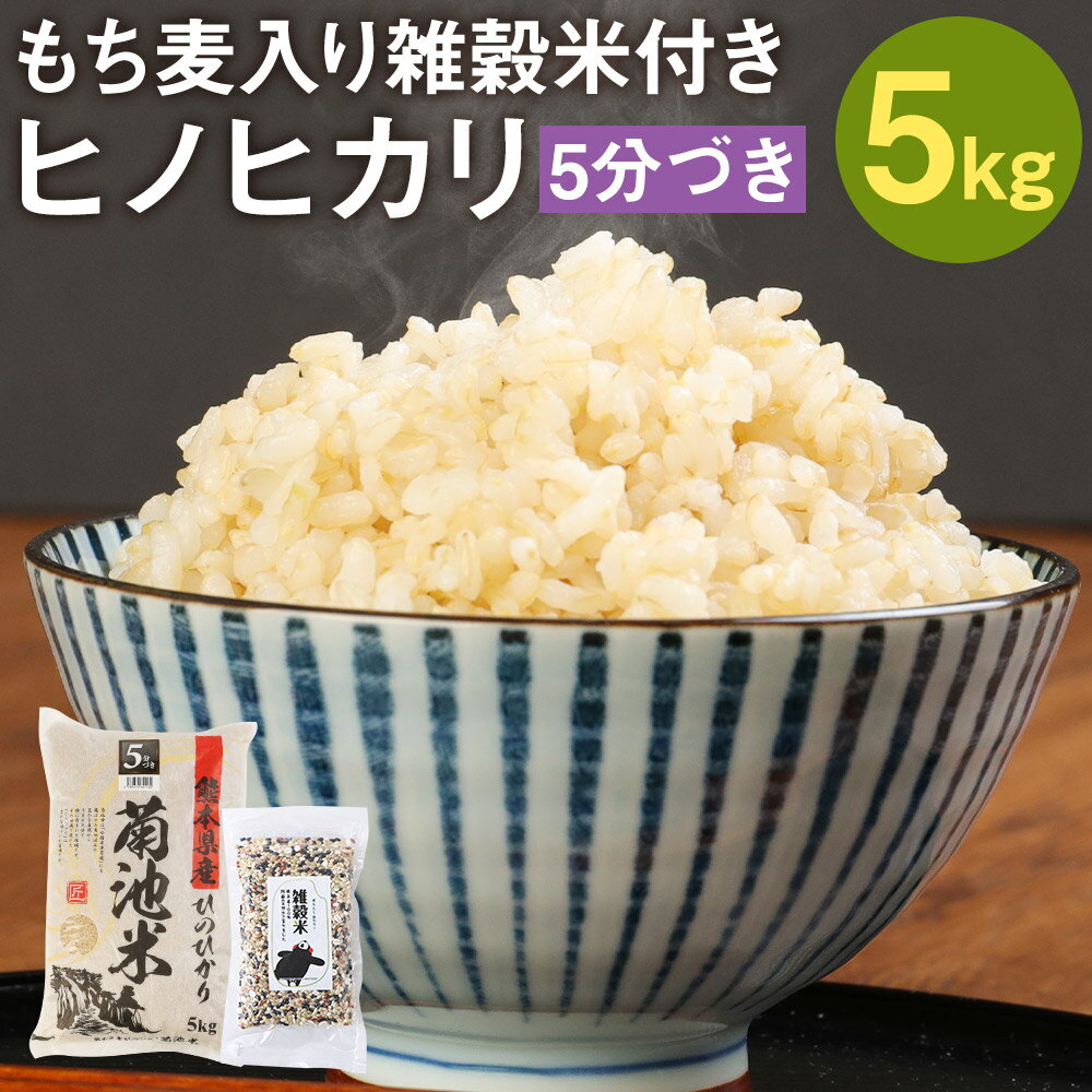 熊本県菊池産 ヒノヒカリ 5kg 5分づき米 もち麦入り雑穀米200g お米 分づき米 令和5年産 九州産 熊本県産 送料無料