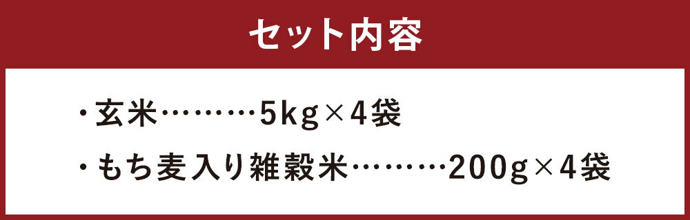 【ふるさと納税】熊本県菊池産 ヒノヒカリ 5kg×4袋 合計20kg もち麦入り雑穀米200g×4袋 合計800g 玄米 米 お米 令和3年産 九州産 熊本県産 送料無料