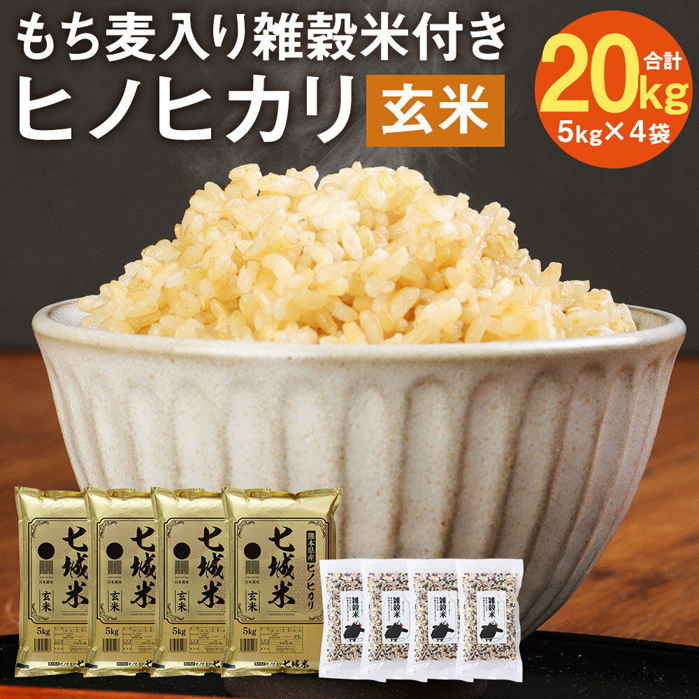 【ふるさと納税】熊本県菊池産 ヒノヒカリ 5kg×4袋 合計20kg もち麦入り雑穀米200g×4袋 合計800g 玄米 米 お米 令和5年産 九州産 熊本県産 送料無料