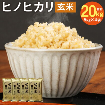 熊本県菊池産 ヒノヒカリ 5kg×4袋 合計20kg 玄米 米 お米 令和4年産 九州産 熊本県産 送料無料