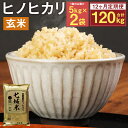 【ふるさと納税】【12ヶ月定期便】熊本県菊池産 ヒノヒカリ 5kg×2袋×12回 合計120kg 12回お届け 玄米 米 お米 九州産 熊本県産 送料無料