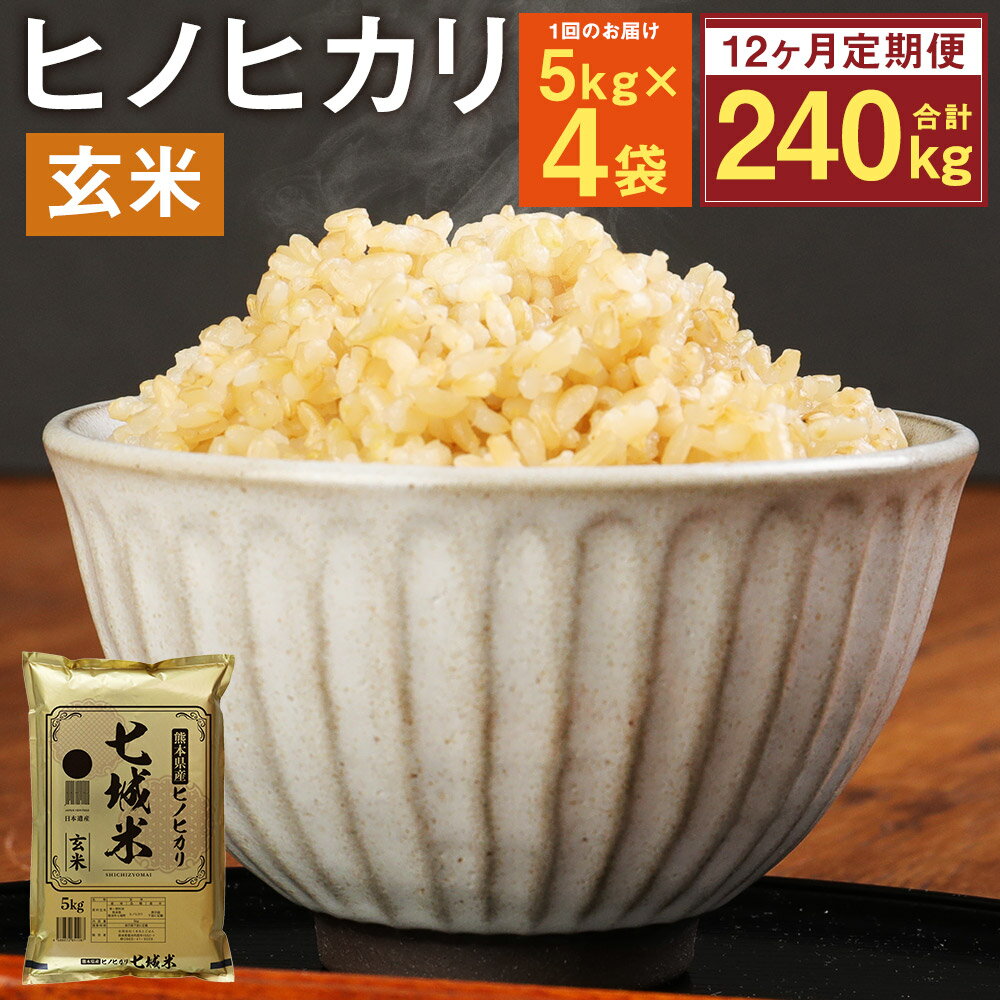 【ふるさと納税】【12ヵ月定期便】熊本県菊池産 ヒノヒカリ 5kg×4袋×12回 合計240kg 12回お届け 玄米 米 お米 九州産 熊本県産 送料無料