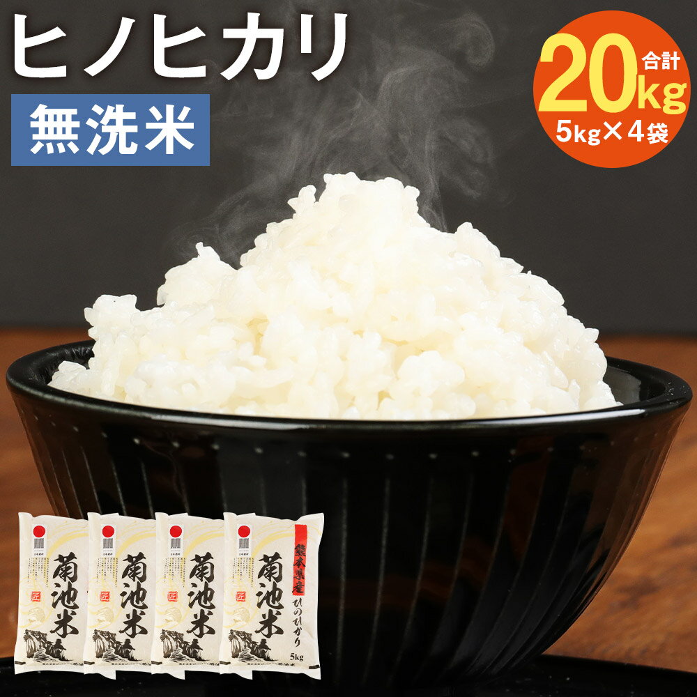 【ふるさと納税】熊本県菊池産 ヒノヒカリ 無洗米 5kg×4袋 合計20kg 精米 お米 白米 令和5年産 九州産 熊本県産 送料無料