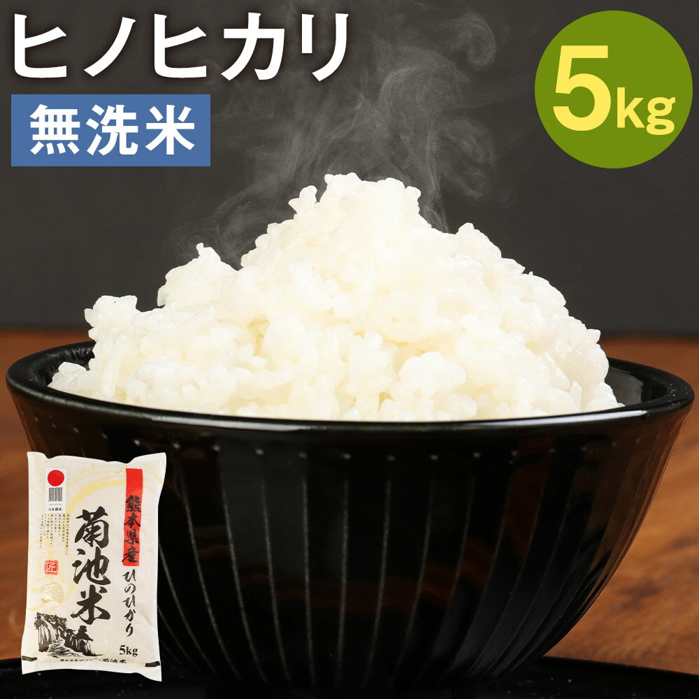 【ふるさと納税】熊本県菊池産 ヒノヒカリ 無洗米 5kg 精