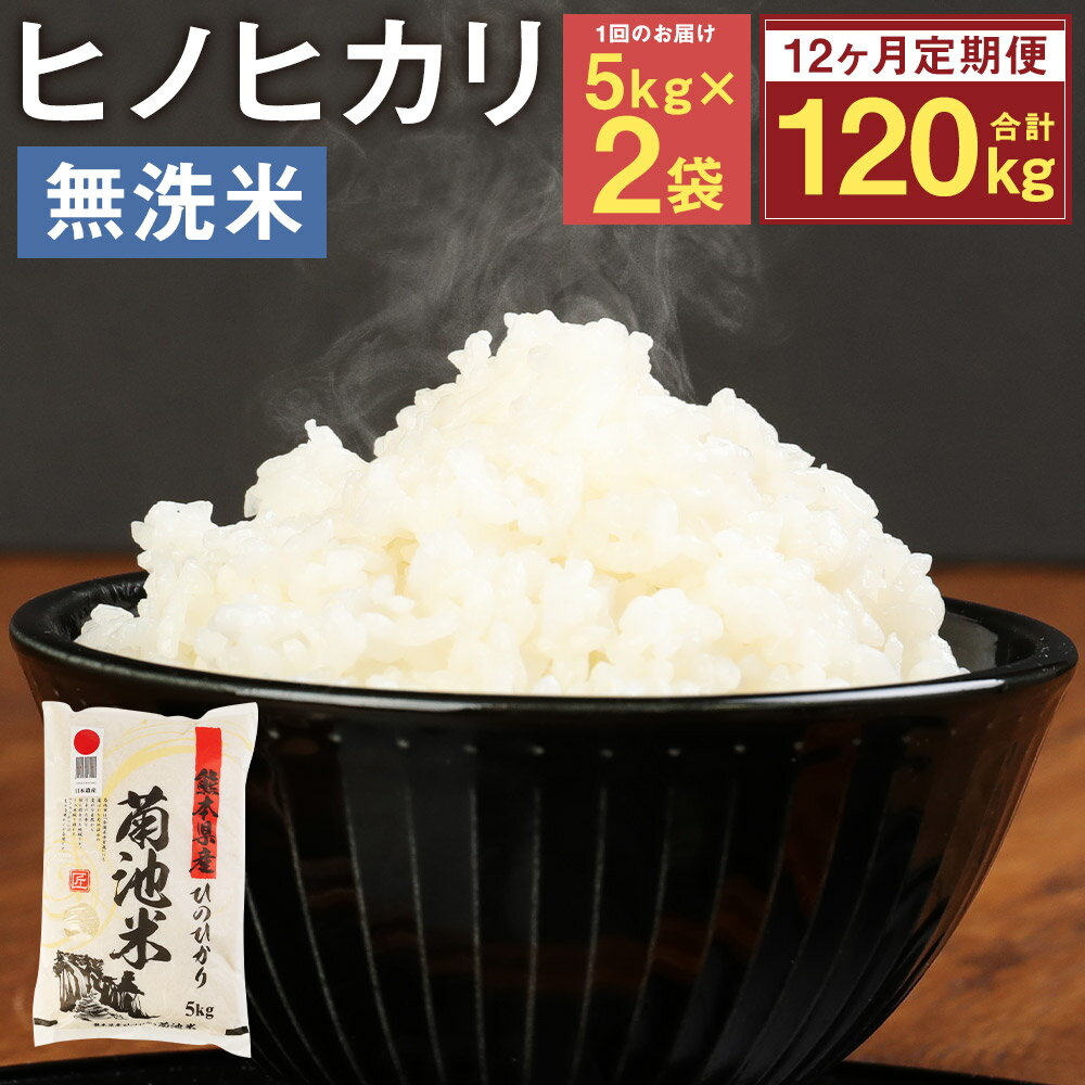 【ふるさと納税】【12ヶ月定期便】熊本県菊池産 ヒノヒカリ 無洗米 5kg×2袋×12回 合計120kg 12回お届け 精米 お米 白米 九州産 熊本県産 送料無料