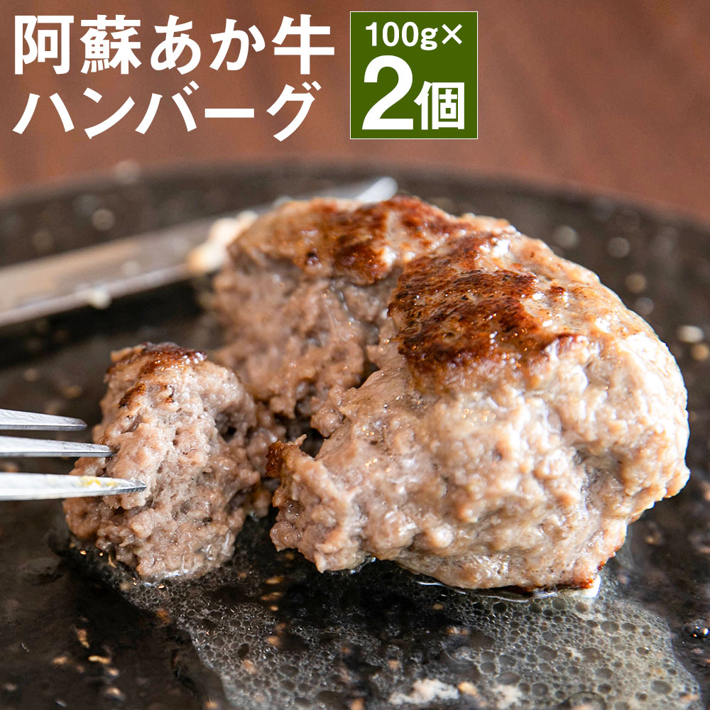 阿蘇あか牛ハンバーグ 100g×2個 合計200g ハンバーグ あか牛 牛肉 熊本県 冷凍 送料無料