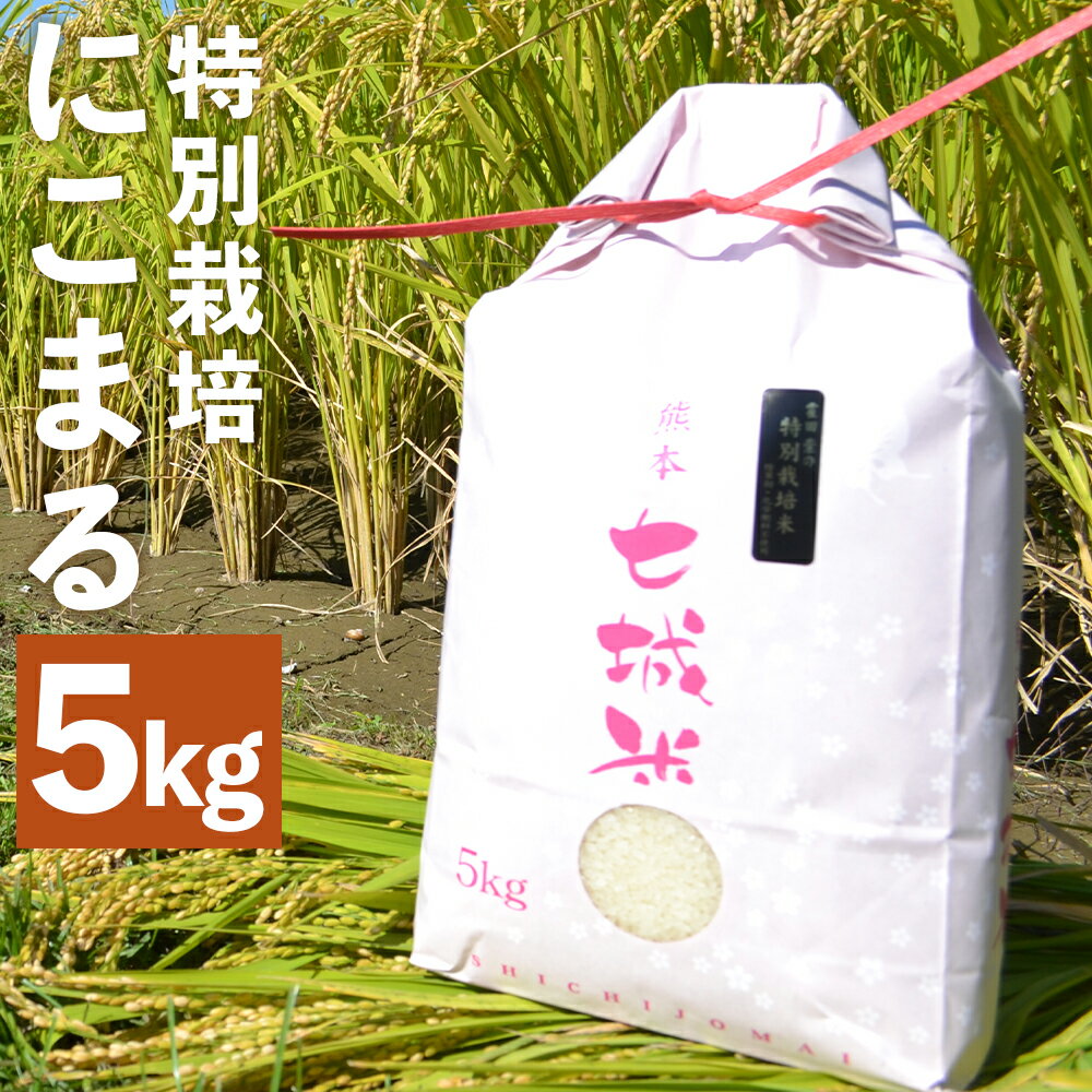 【ふるさと納税】極にこまる 5kg 白米 精米 お米 令和4年産 特別栽培米 熊本県...