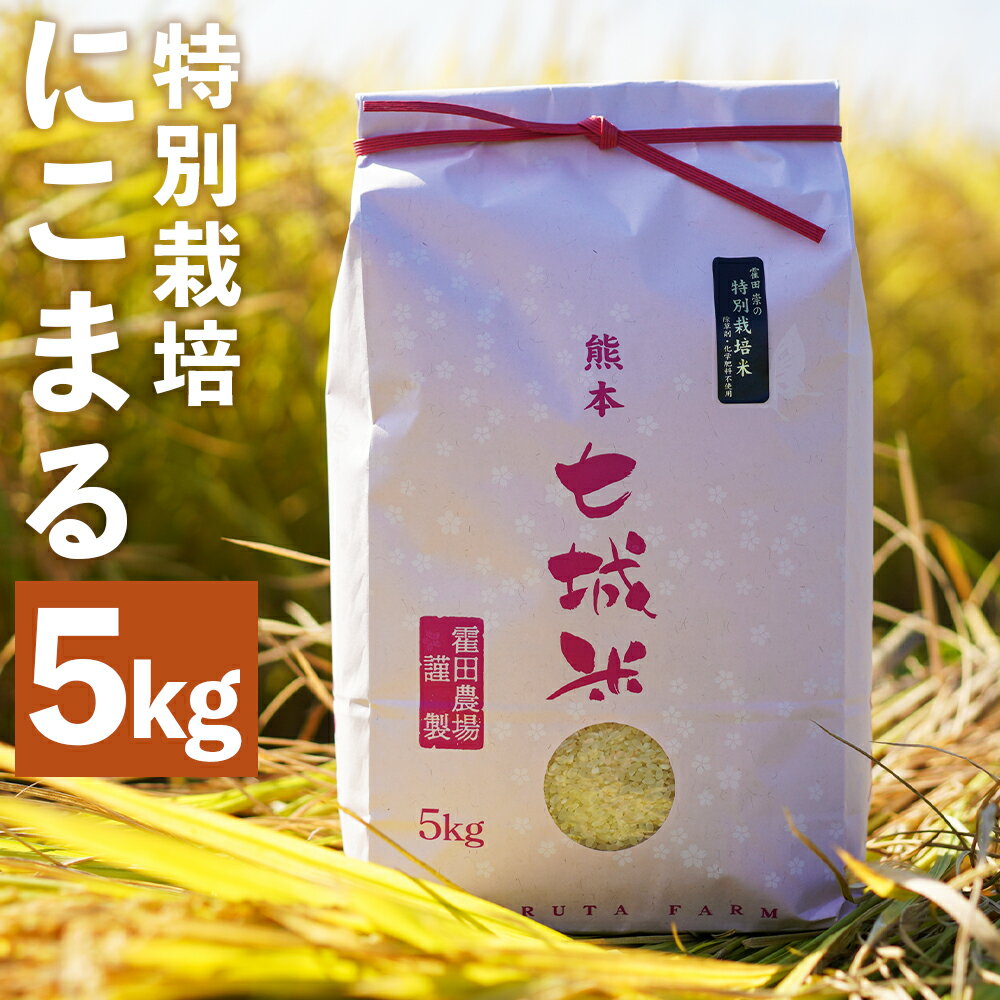 【ふるさと納税】極にこまる 5kg 白米 精米 お米 令和5年産 特別栽培米 熊本県産 九州産 送料無料のサムネイル