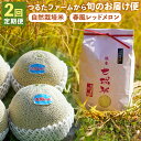【ふるさと納税】【2回定期便】つるたファームから旬のお届け便 Red 自然栽培米5kg 春風レッドメロン3~4玉 2回お届け 定期便 フルーツ 果物 メロン お米 精米 白米 菊池市 熊本県産 九州産 お米 メロン 送料無料