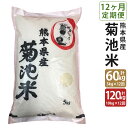 yӂ邳Ɣ[Łzy12ցzer 5kg~12/10kg~12 Iׂe     qmqJ ߘa5NY F{Y BY 