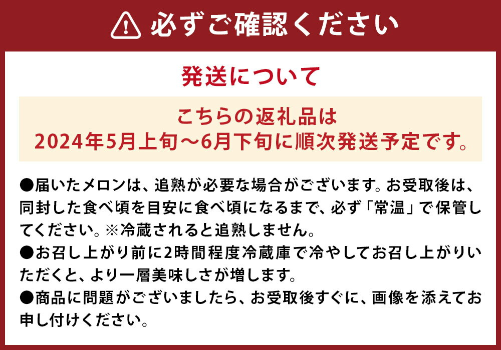 【ふるさと納税】肥後グリーンメロン 特大 4L～5Lサイズ 2玉 1玉約2～2.4kg メロン 果物 フルーツ 菊池市産 熊本県産 九州産 国産 送料無料 【2024年5月上旬～6月下旬に順次発送予定】