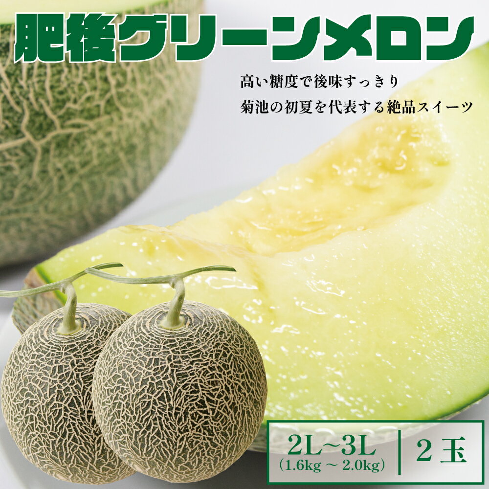 【ふるさと納税】肥後グリーンメロン 大 2L~3Lサイズ 2玉 1玉約1.6~2kg メロン 果物 フルーツ 菊池市産 熊本県産 九州産 国産 送料無料 【2025年5月上旬~6月下旬に順次発送予定】