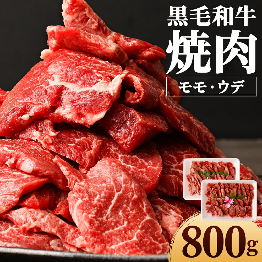 焼肉用 モモ・ウデ 合計800g 黒毛和牛 カット済み お肉 和牛 焼き肉 キャンプ バーベキュー 熊本県産 九州産 国産 冷凍 送料無料