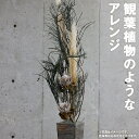 【ふるさと納税】観葉植物のようなアレンジ 縦約160cm×横約70cm×幅約70cmドライフラワー デザインおまかせ フラワーアレンジ インテリア 花 送料無料