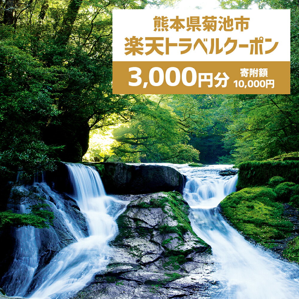 【ふるさと納税】熊本県菊池市の対象施設で使える楽天トラベルクーポン 寄付額10,000円その2