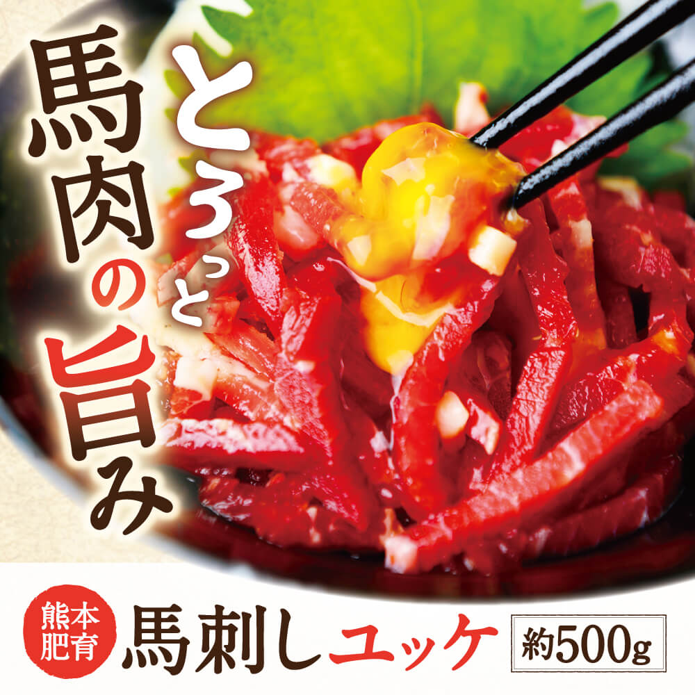 【ふるさと納税】【馬刺し】熊本 人気の馬肉ユッケ たっぷり 500g 10人前 50g×10パック 専用タレ付き 馬肉 ユッケ 馬肉ユッケ お肉 冷凍 国産 九州産 熊本県産 送料無料