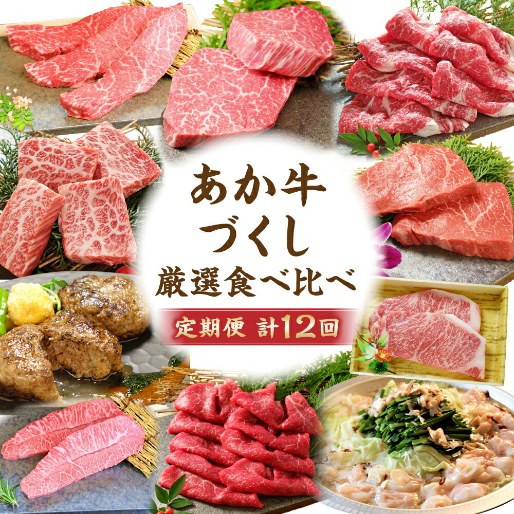 【ふるさと納税】 【定期便計12回】 あか牛づくし厳選食べ比べ あか牛 ステーキ しゃぶしゃぶ もつ鍋 ホルモン 焼肉 ハンバーグ お肉 肉 牛肉 和牛 熊本県産 九州産 国産 冷凍 12ヶ月定期便 送料無料